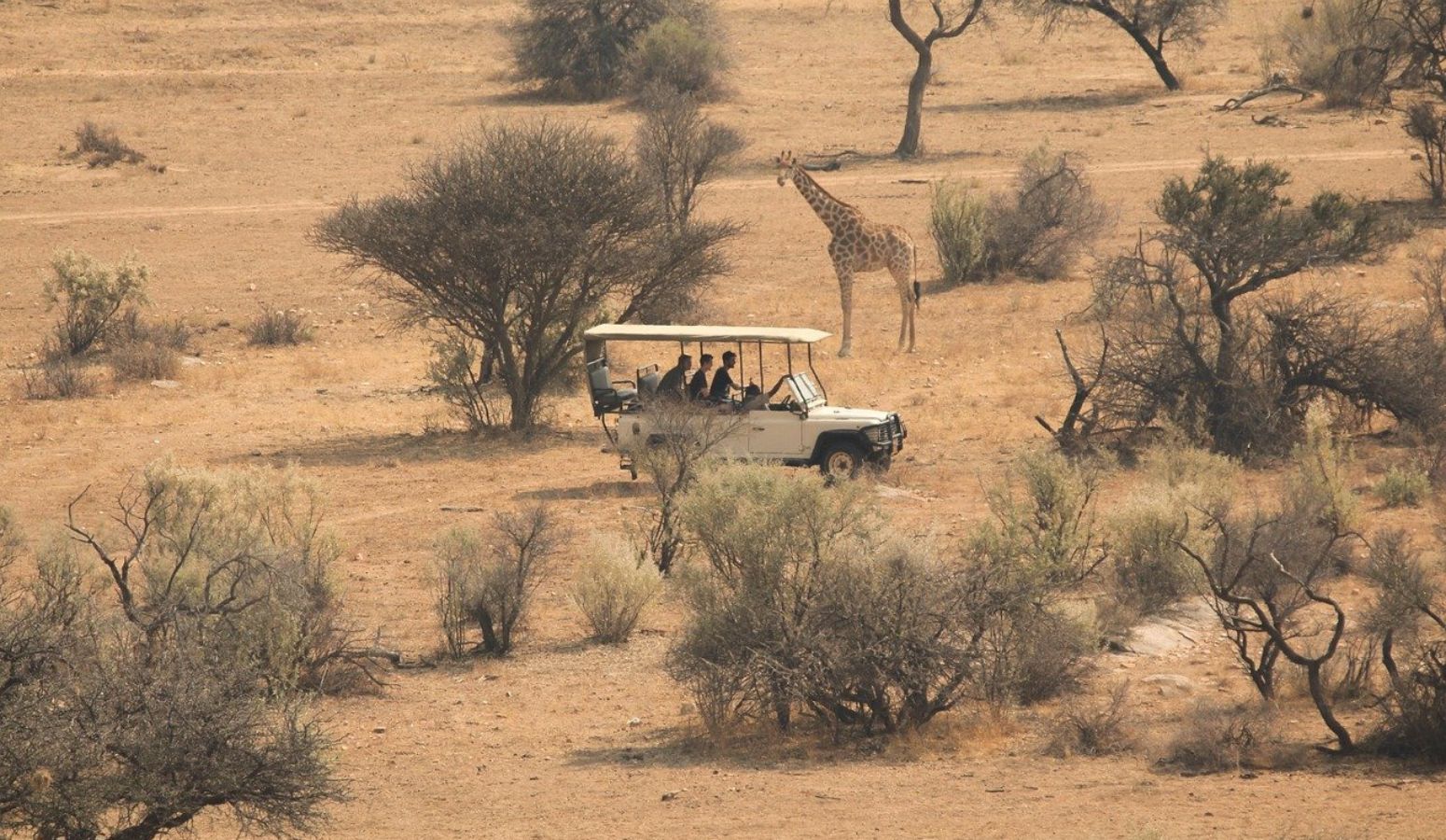 safari africa senegal semana santa 2025